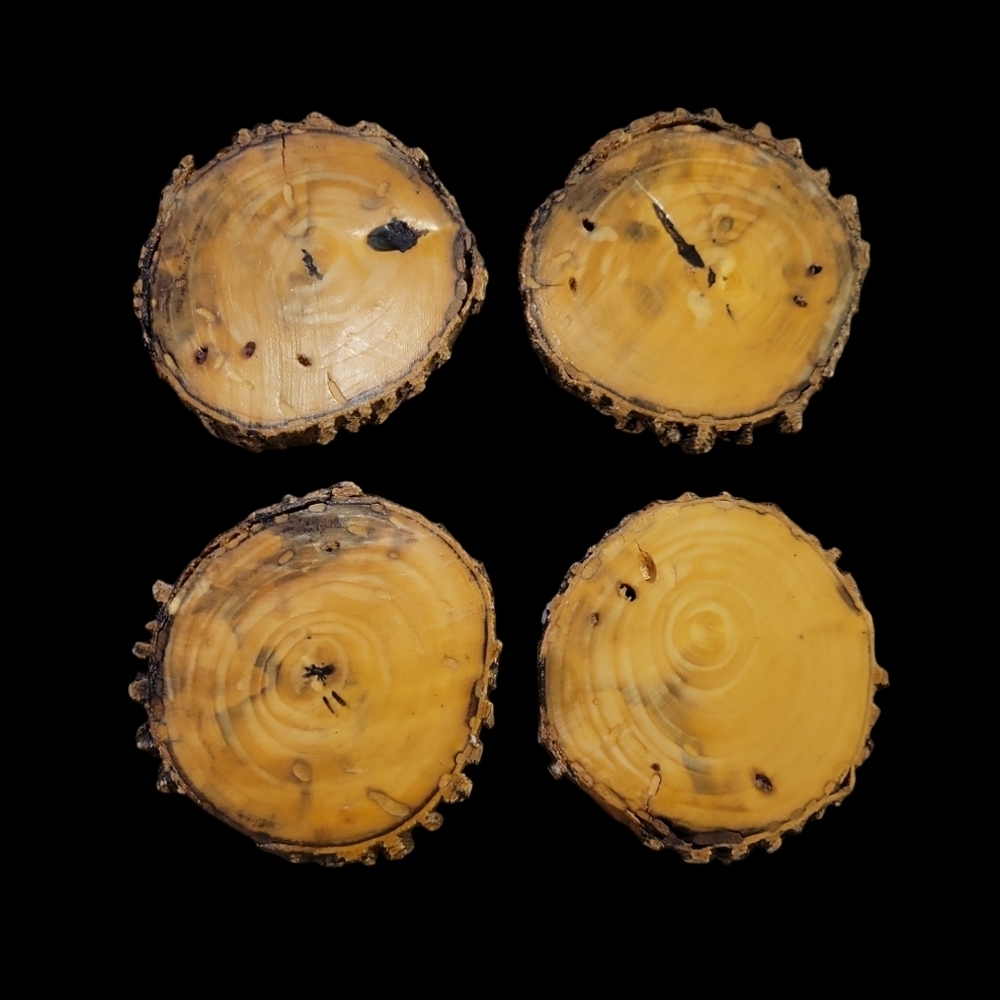 4-Piece Brown Wood with Bark Edge Coasters
